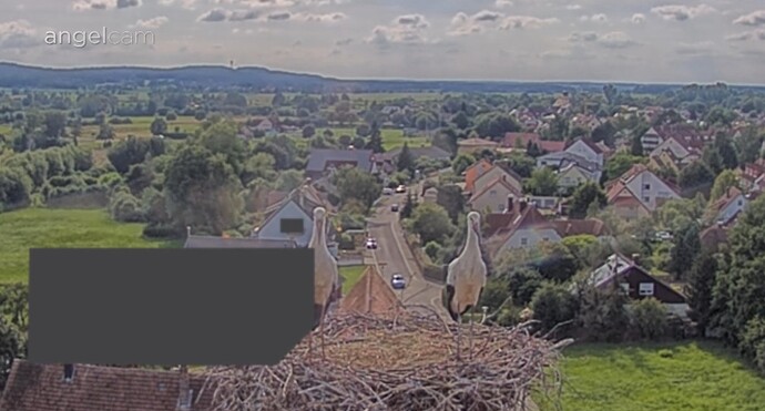 Screenshot_20240718_172614_Chrome