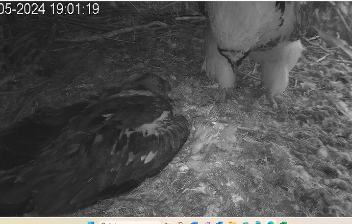 Größe ist relativ 08-05-24