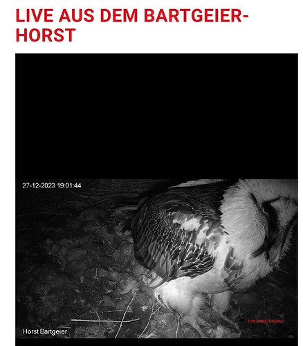 Screenshot_20231227_190156_Samsung Internet