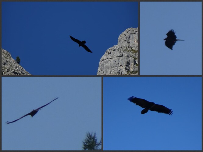 Collage_2023-09-08_20_10_47