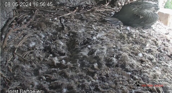 Screenshot_20240508_165815_Samsung Internet