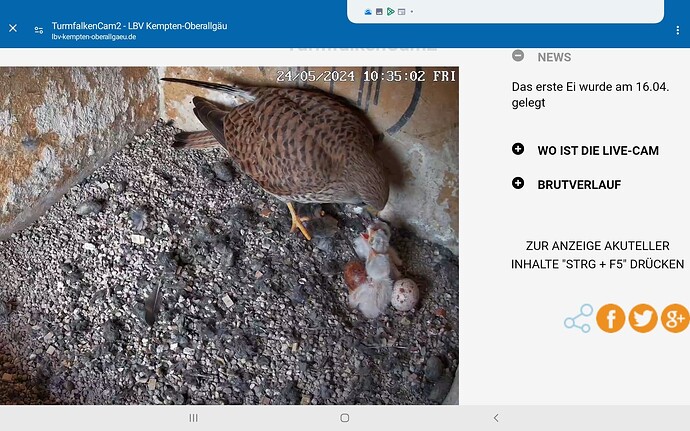 Screenshot_20240524-103524_Chrome