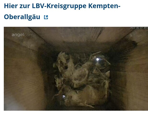 Screenshot_20230517_190527_Samsung Internet