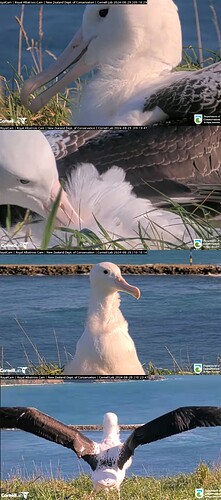 IMG_20240829_102716