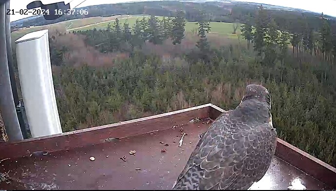 Capture+_2024-02-21-16-35-59(1)