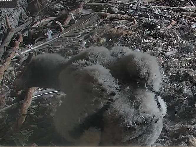 Komme auch allein zurecht 04.04.24