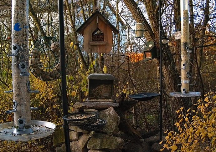 Screenshot_20241130_072149_Chrome