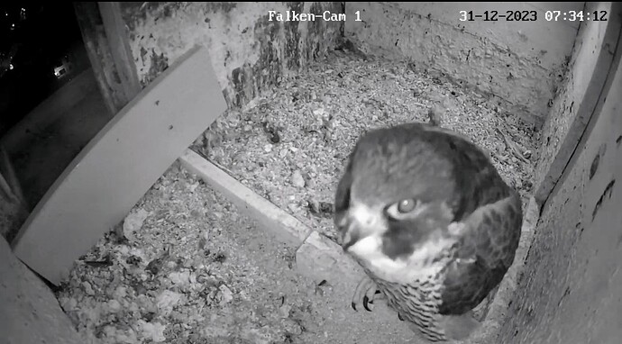 Screenshot_2023-12-31-07-34-27-724_com.android.chrome