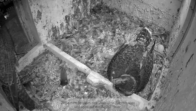 Screenshot_20230529-215313~2