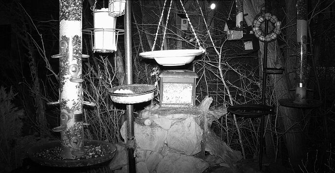 Snap_2022.12.27_07h23m11s_001_