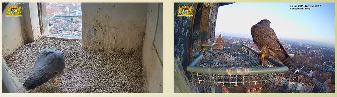 Snap_2024.12.31_16h11m13s_028_