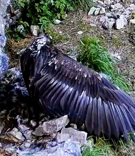 Screenshot_2025-06-12-13-42-34-632_com_1749728672919.android.chrome