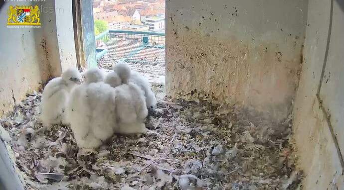 Snap_2023.04.23_16h26m32s_014_