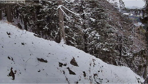 Snap_2024.03.24_11h52m50s_007_