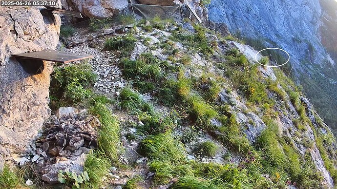 Bildschirmfoto vom 2025-06-26 05-38-00