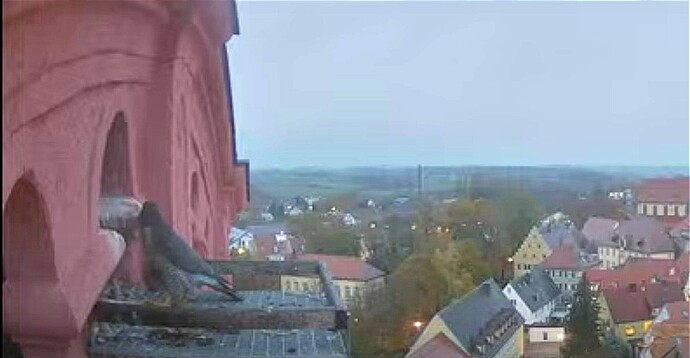 IMG_20231113_165748