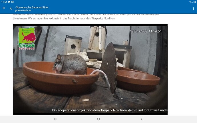 Screenshot_20250112-115453_Chrome