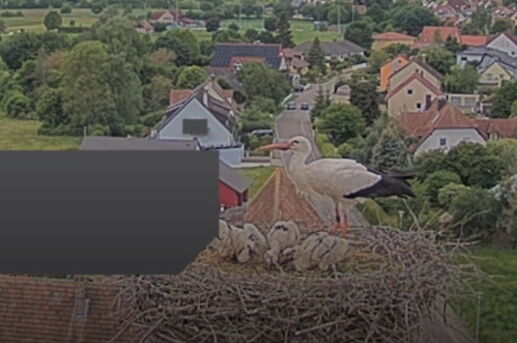 Snap_2024.05.19_10h47m55s_003_