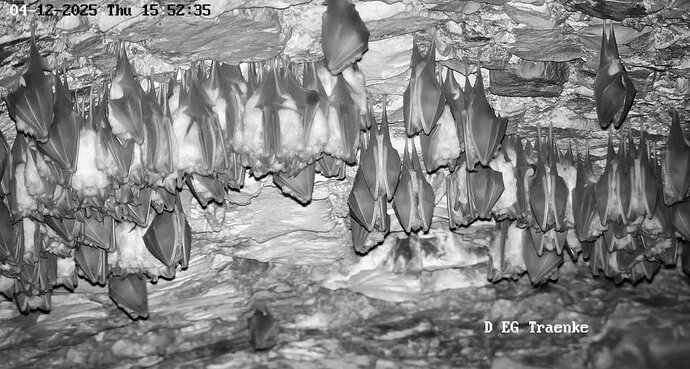 Vollbildaufzeichnung 04.12.2025 155244