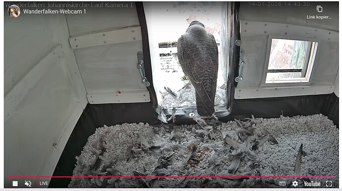 Screenshot_20260114-144353~2