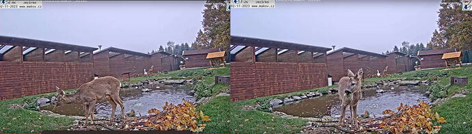 Snap_2023.11.02_07h13m54s_003_