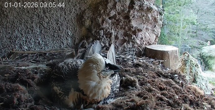 In Sichtweite 01.01.26