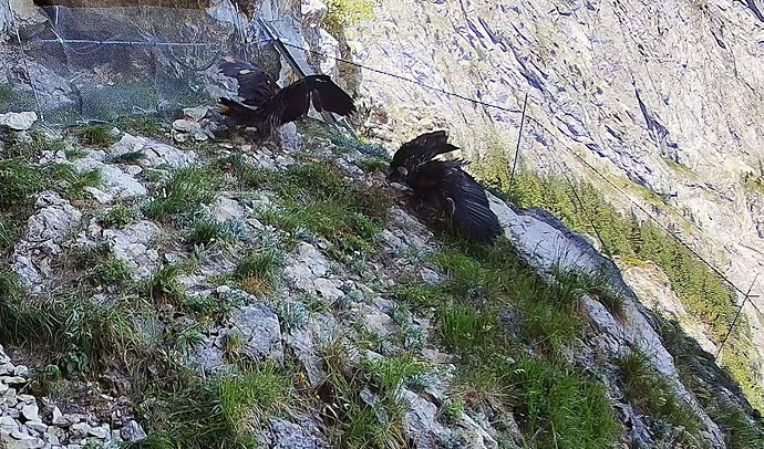 Gegenseitiges Drohen 25.06.26