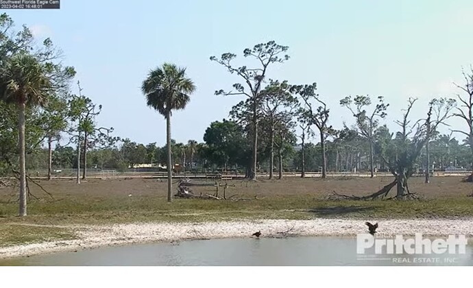 swfl_230402_R23_M15