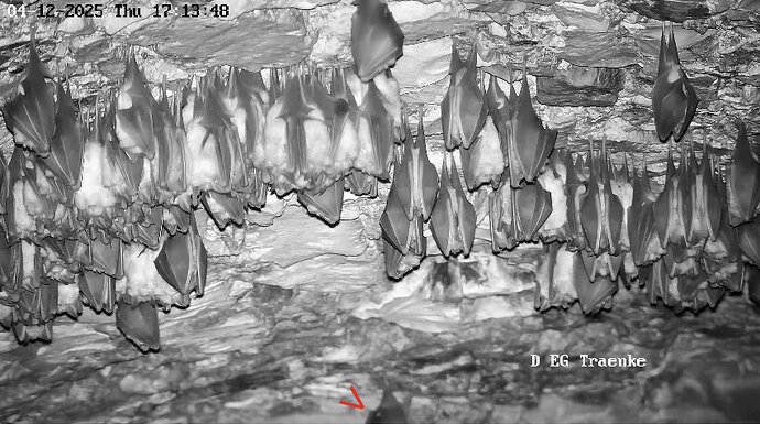 Vollbildaufzeichnung 04.12.2025 171400