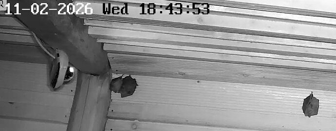 2026-02-11_4 18.00 2er und 3er Gruppe in WG