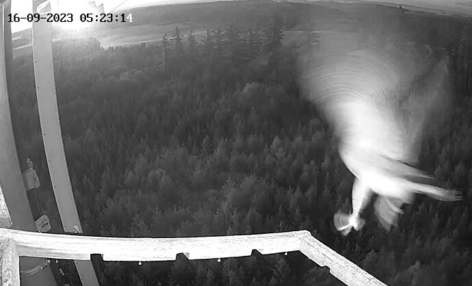 Screenshot_20230916_062243_Samsung Internet