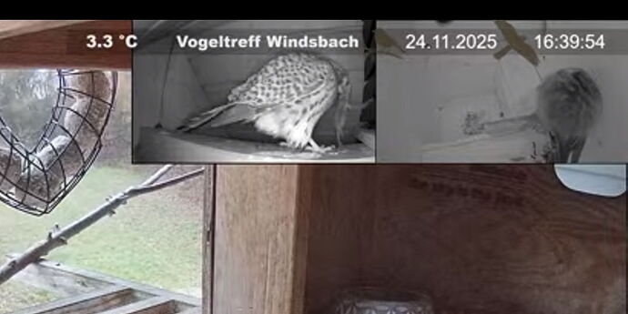 Snap_2025.11.24_16h45m54s_010_