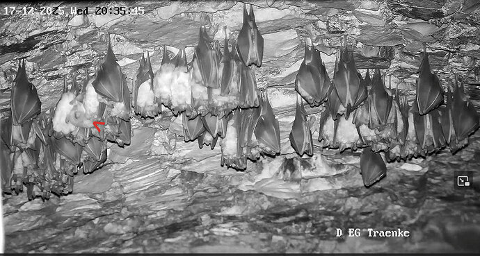 Vollbildaufzeichnung 17.12.2025 203559