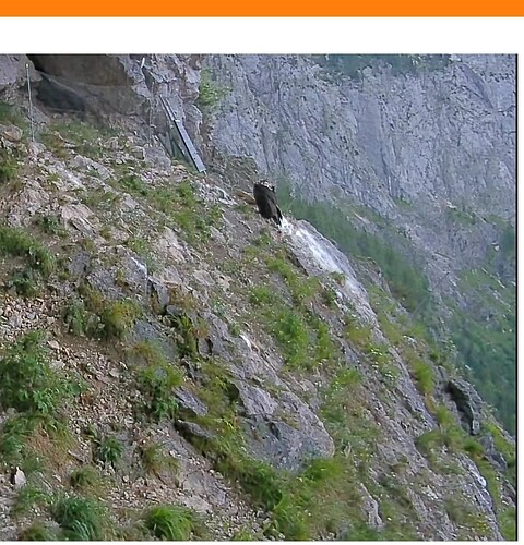 Screenshot_2023-06-25-21-26-06-676-edit_com.android.chrome