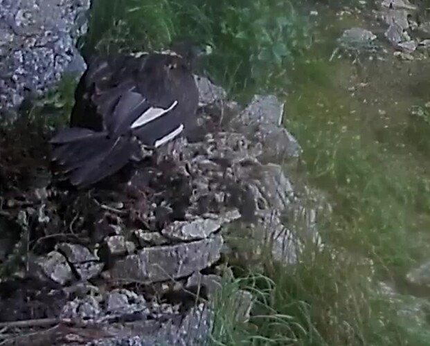 Screenshot_20240715-123657~2