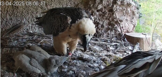 Frühstück 03.04.25