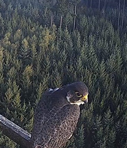 Screenshot_20230914_182559_Chrome