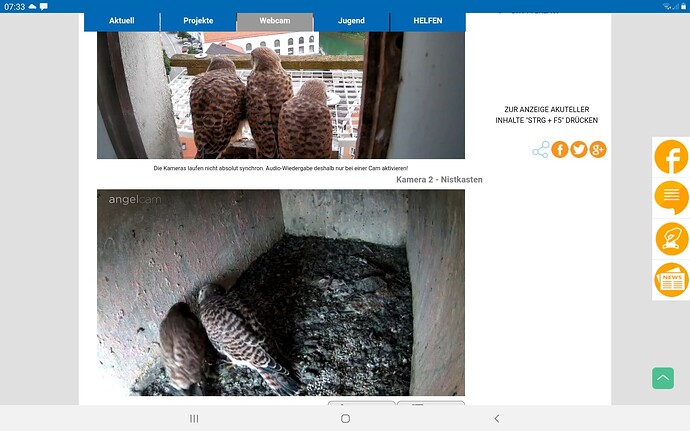 Screenshot_20240710-073310_Chrome