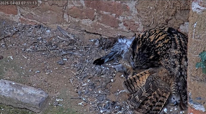 Screenshot_20260403_110016_YouTube