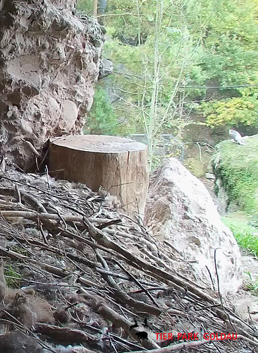 Screenshot_20251021-161252~2