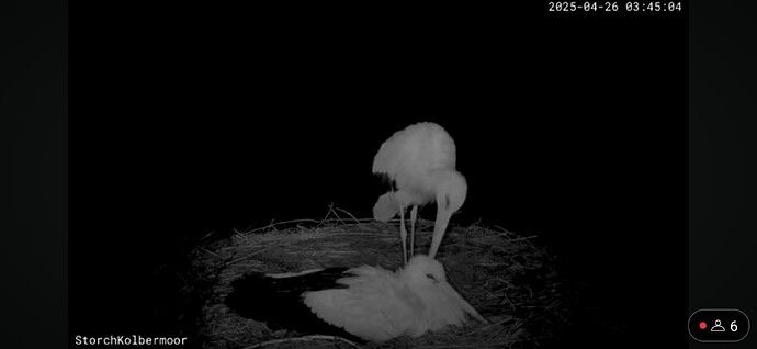 Screenshot_20250426_063219_YouTube