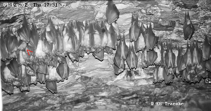 2 Vollbildaufzeichnung 04.12.2025 173150