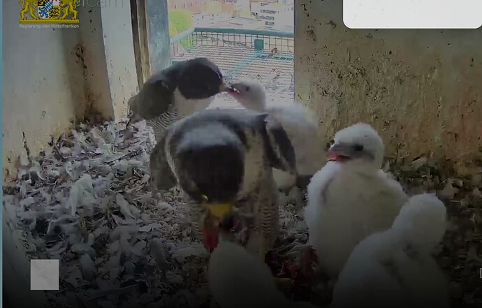 Screenshot_20230422-180802~2