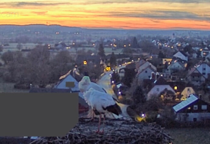 Screenshot_2026-01-15-17-21-56-424_com.android.chrome~2