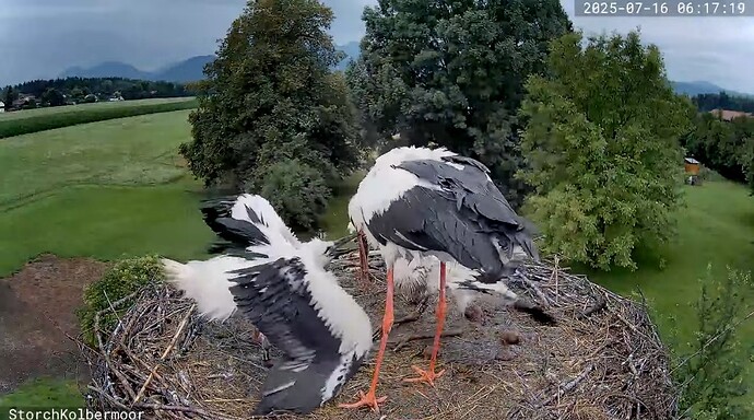 Screenshot_20250716_062509_YouTube