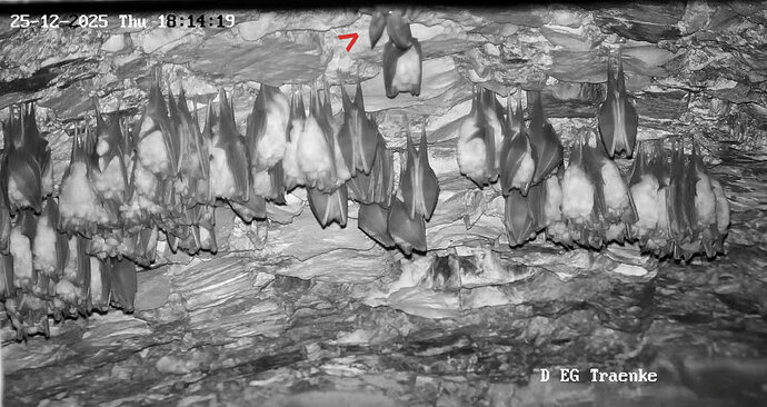 Vollbildaufzeichnung 25.12.2025 181428