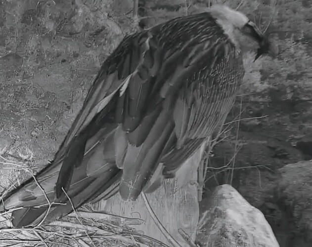 Screenshot_2025-11-12-17-06-48-546_com.android.chrome~2