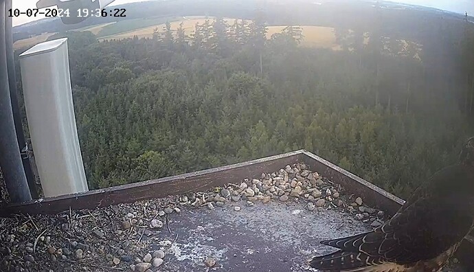 Screenshot_2024-07-10-20-34-53-568_com.android.chrome