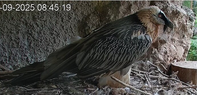 M mal kurz z.H. 1 08.09.25