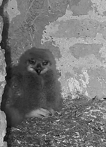 Screenshot_20260410_223112_Samsung Internet